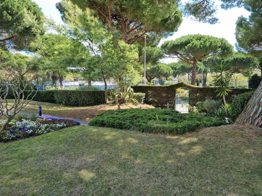 Superbe T2 Tout Confort 3 Etoiles, Entierement Renove Avec Piscine, Parking, Clim, Wifi, Netflix La Grande Motte Bagian luar foto