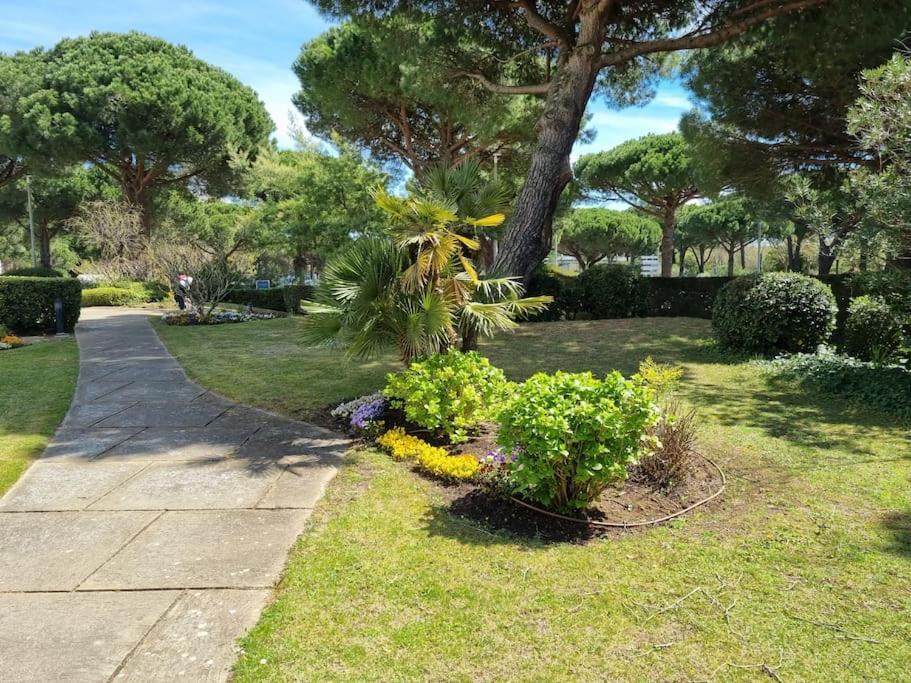 Superbe T2 Tout Confort 3 Etoiles, Entierement Renove Avec Piscine, Parking, Clim, Wifi, Netflix La Grande Motte Bagian luar foto